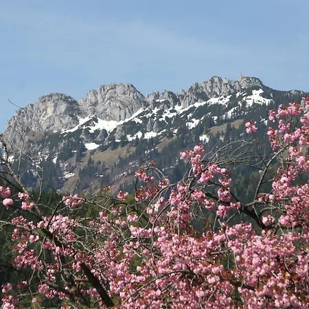 Διαμέρισμα Gaestehaus Haecher Schleching