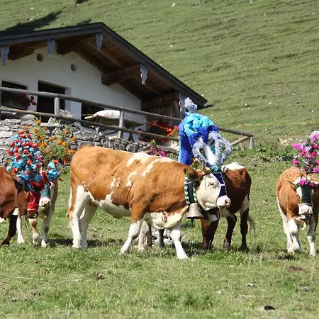 Gaestehaus Haecher Lägenhet Schleching