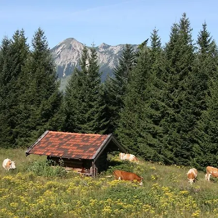 Gaestehaus Haecher Schleching