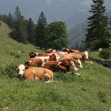 Gaestehaus Haecher Schleching